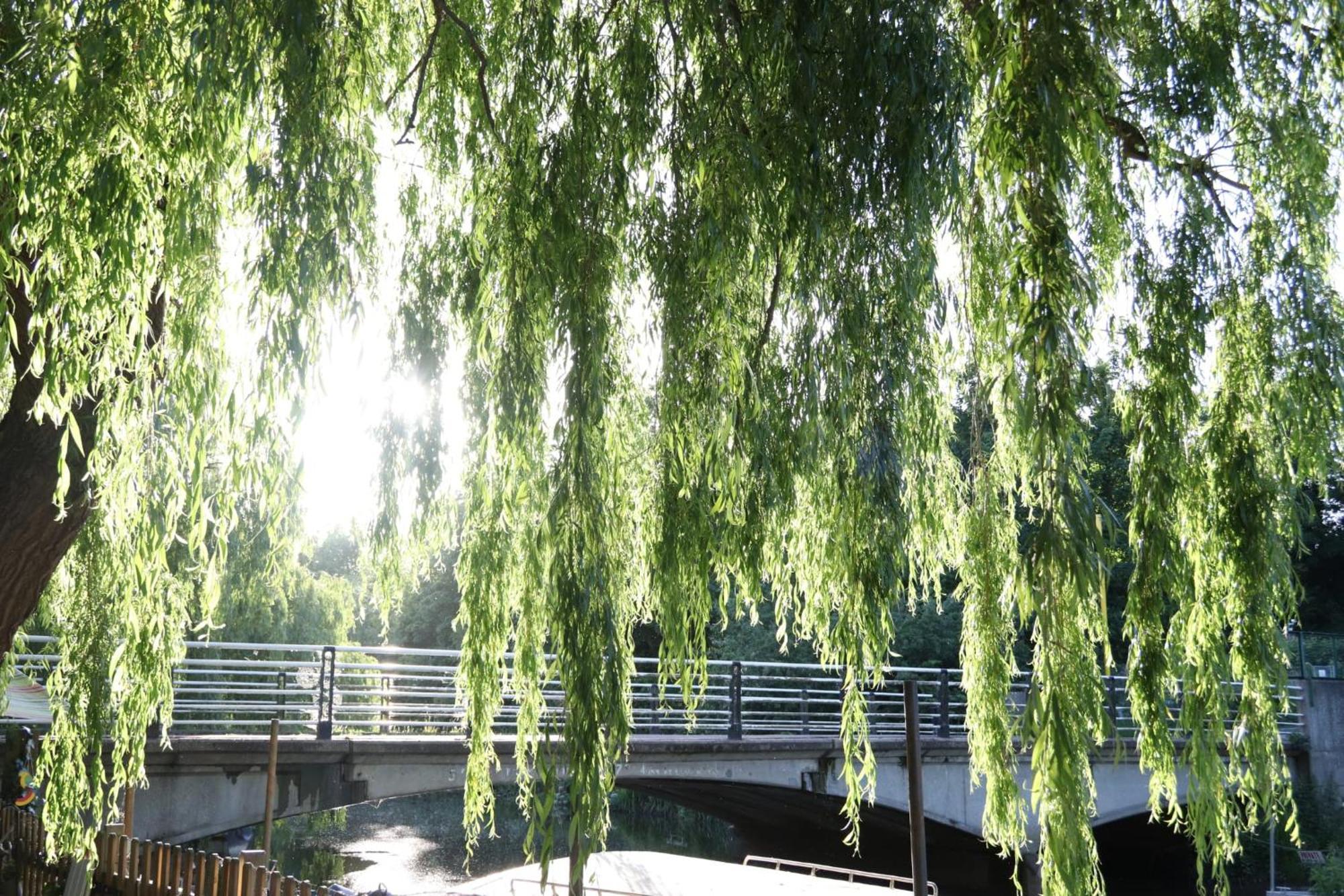 فندق Whitstable Arizona Seasalter المظهر الخارجي الصورة